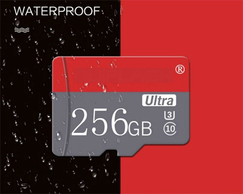 Micro SD Card 256 Mb Class 10